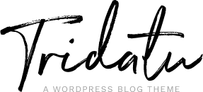 My Blog